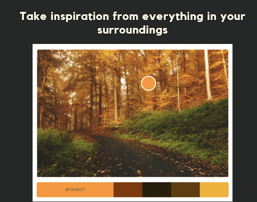 Basics Of UI/UX | Mindbowser