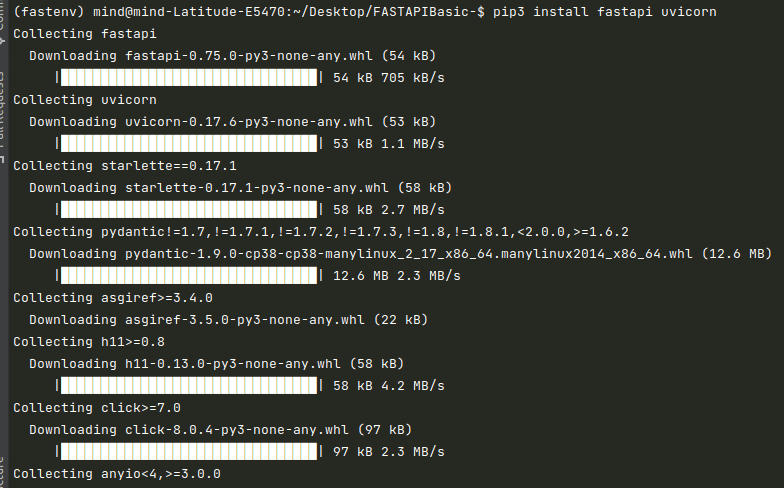 Installation of fast API