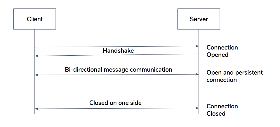 websocket process