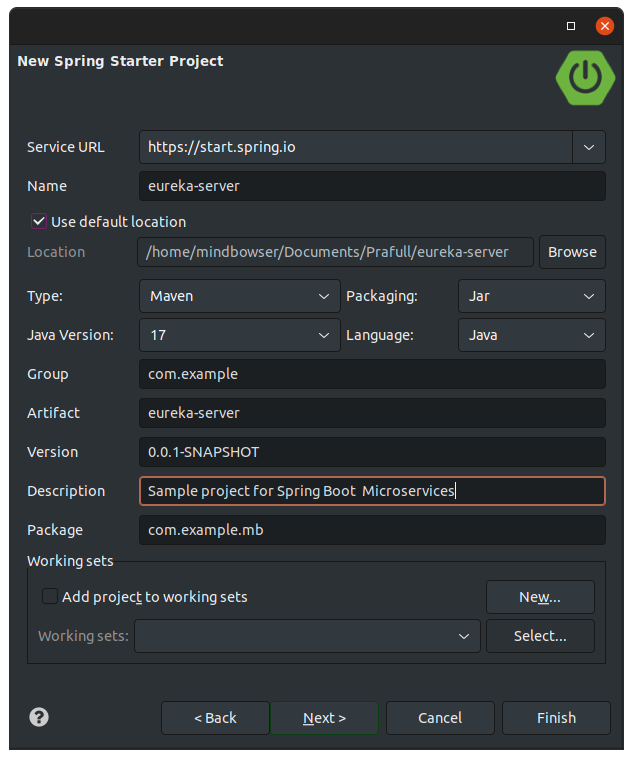 naming the spring boot project