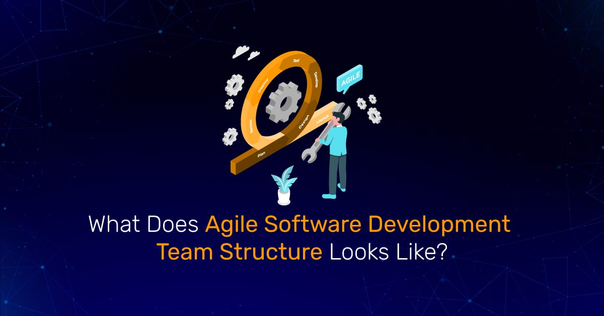 What Does Agile Software Development Team Structure Look Like?