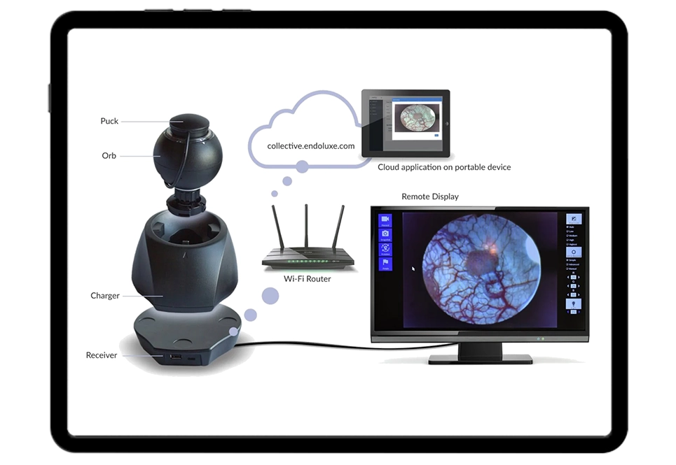 advanced endoscopy infrastructure