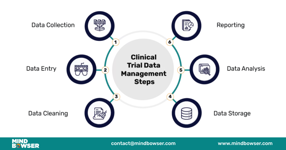 Clinical Trial Data Management steps