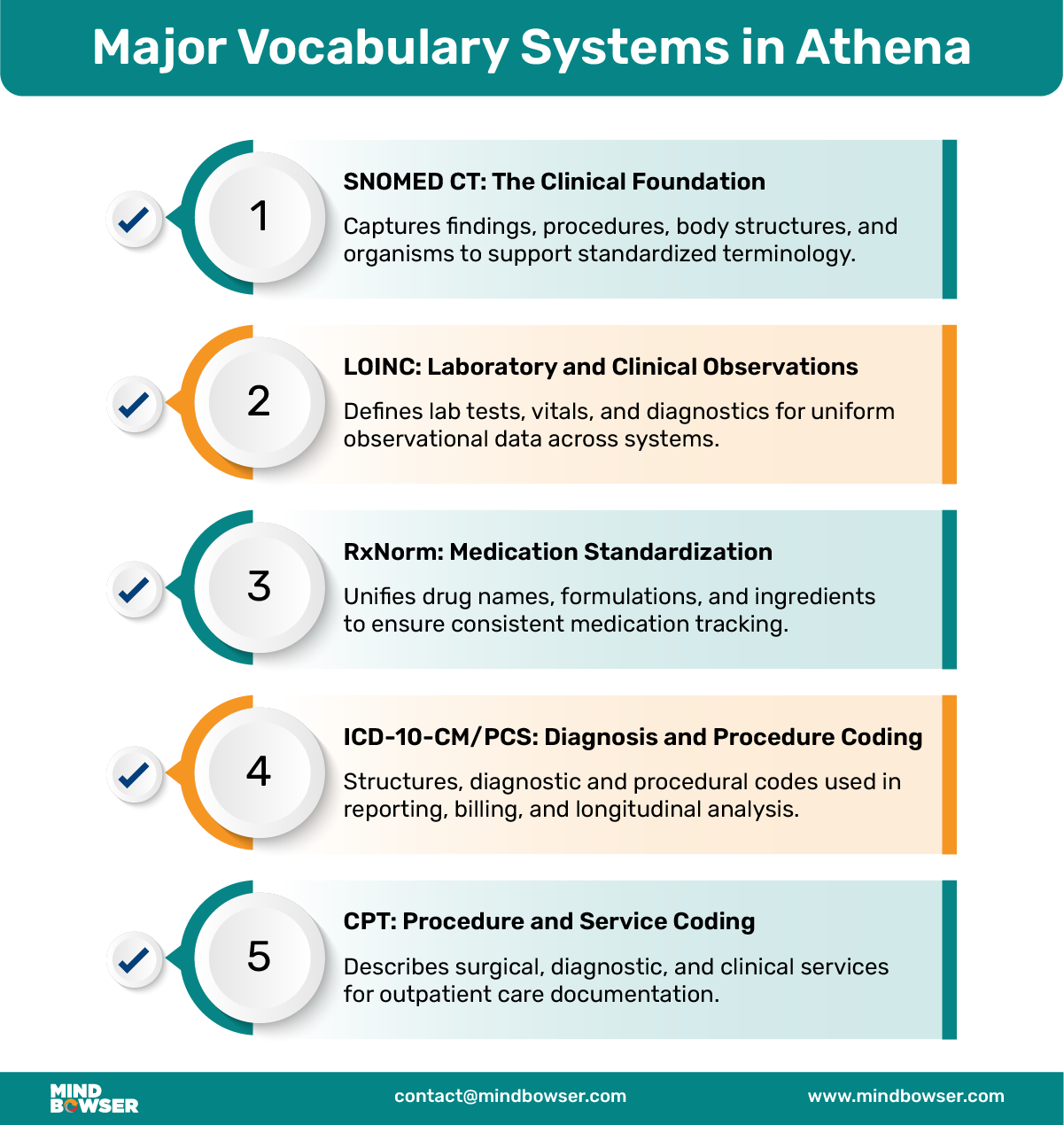 Vocabulary-Systems-in-Athena