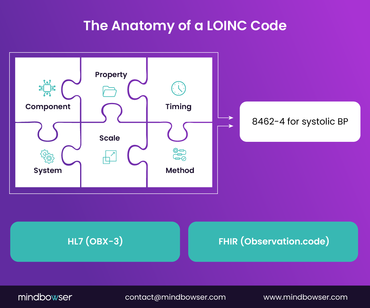 Image ofThe Anatomy of a LOINC Code