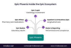 Image of Epic Phoenix Inside the Epic Ecosystem