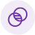 Transparency & Explainability