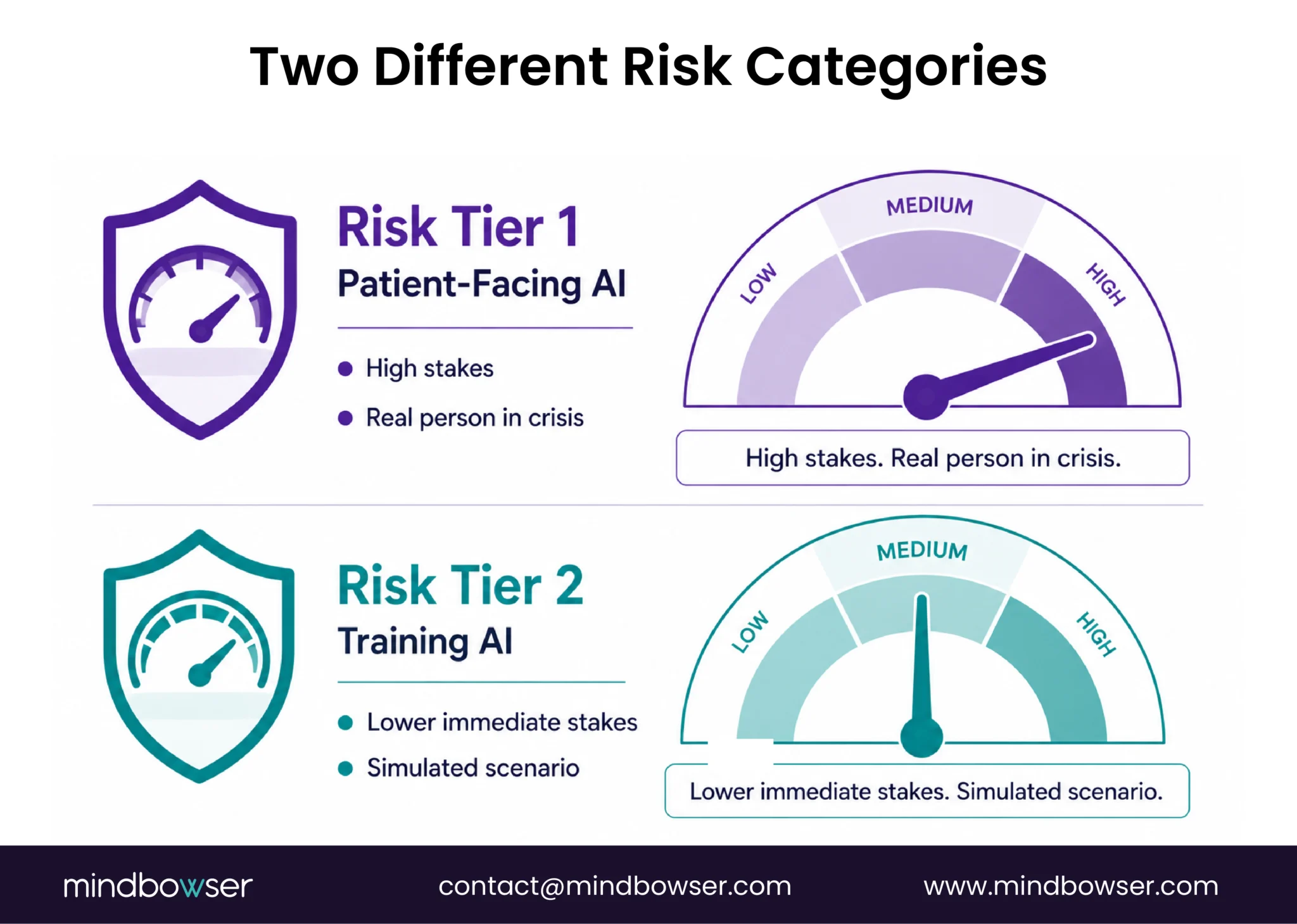 AI CBT Risk Categories